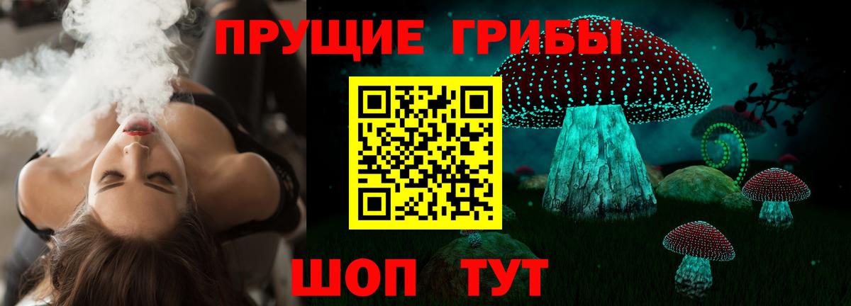 Галлюциногенные грибы Psilocybine cubensis Саров
